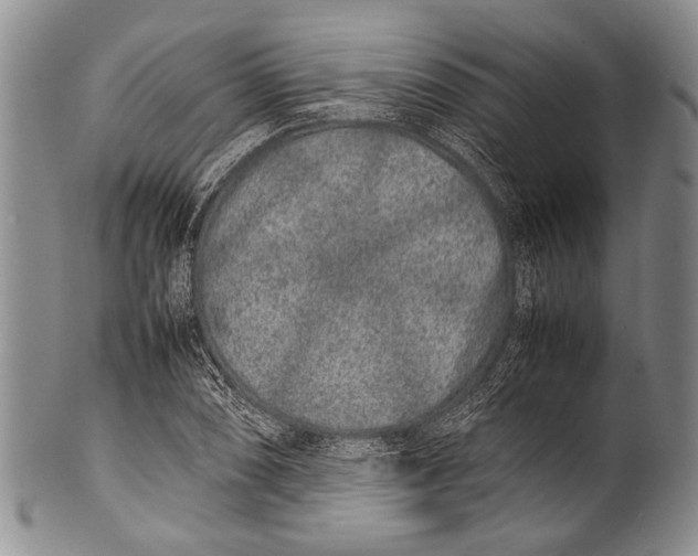 X0000100341074200806261321