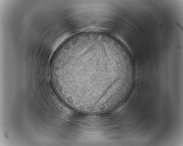 X0000100341075200806261321