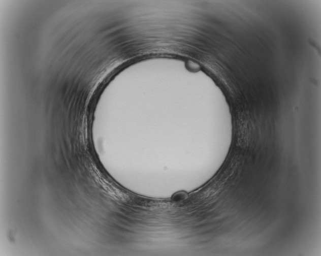 X0000100341076200806261321