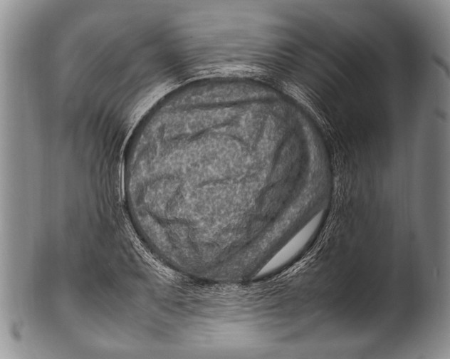 X0000100341079200806261321