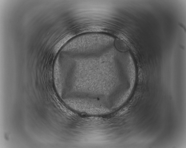 X0000100341081200806261321