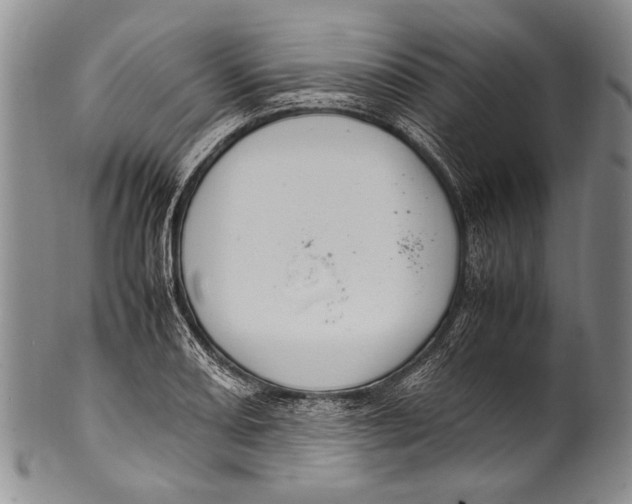 X0000100341082200806261321