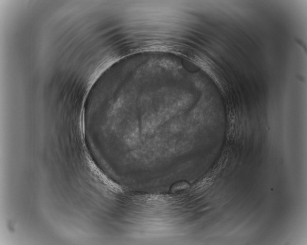 X0000100341084200806261321