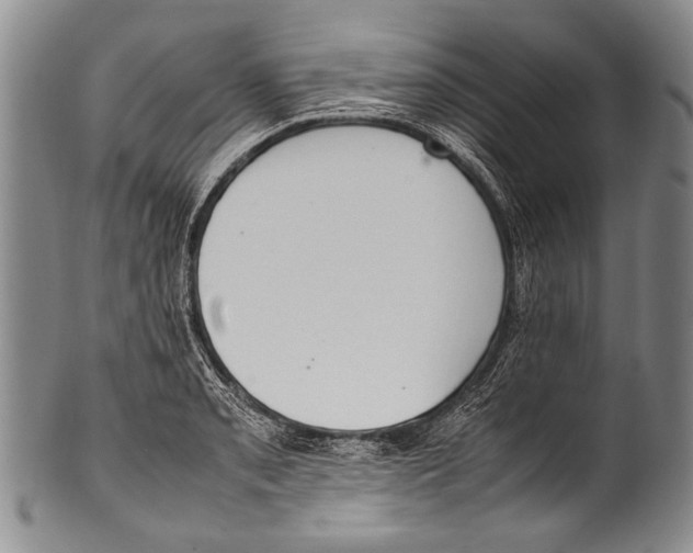 X0000100341085200806261321