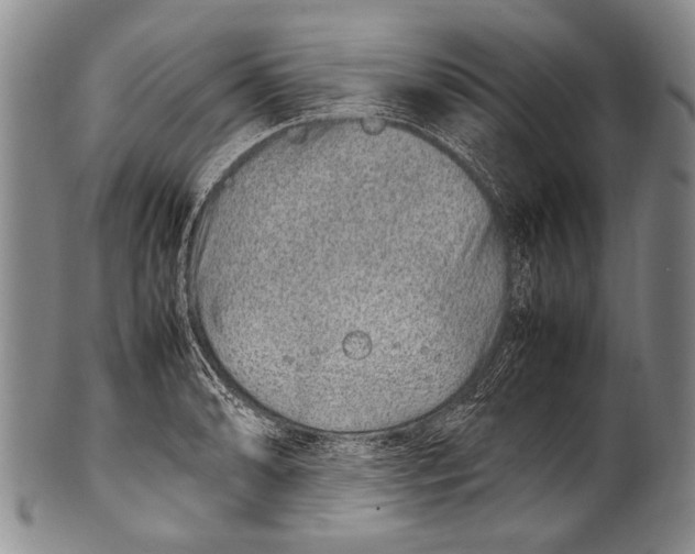 X0000100341086200806261321