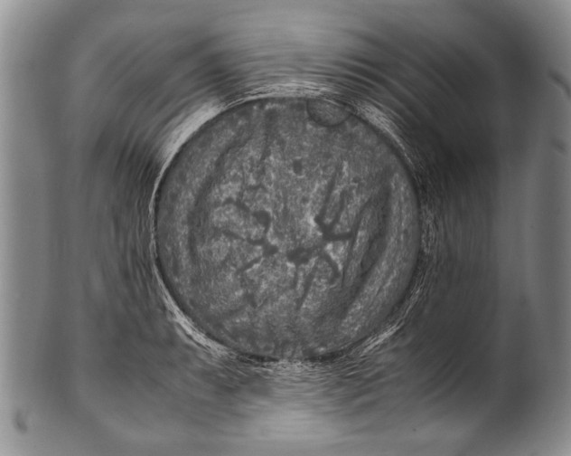 X0000100341087200806261321