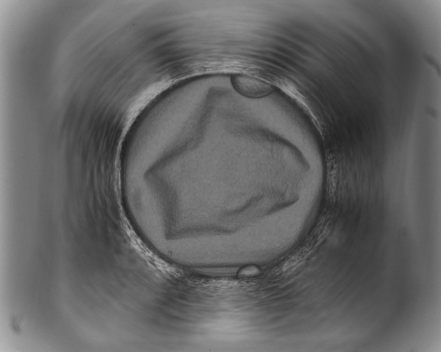 X0000100341088200806261321