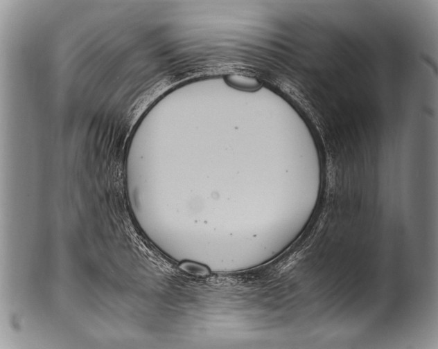 X0000100341089200806261321