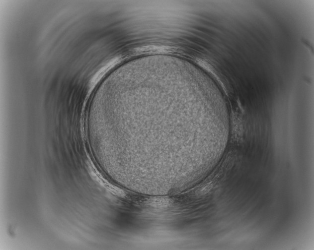 X0000100341090200806261321