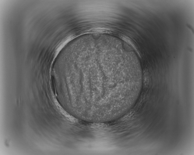 X0000100341091200806261321