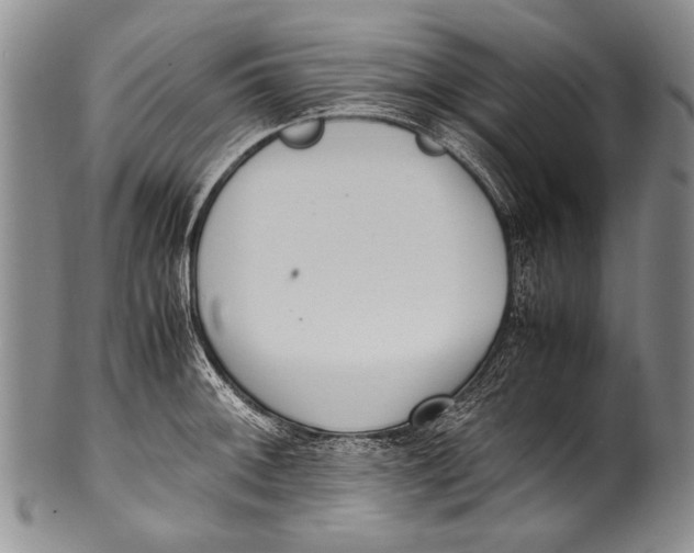 X0000100341092200806261321