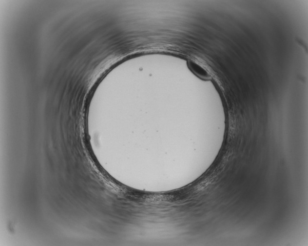 X0000100341093200806261321