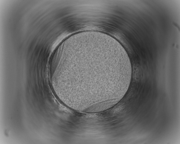 X0000100341094200806261320