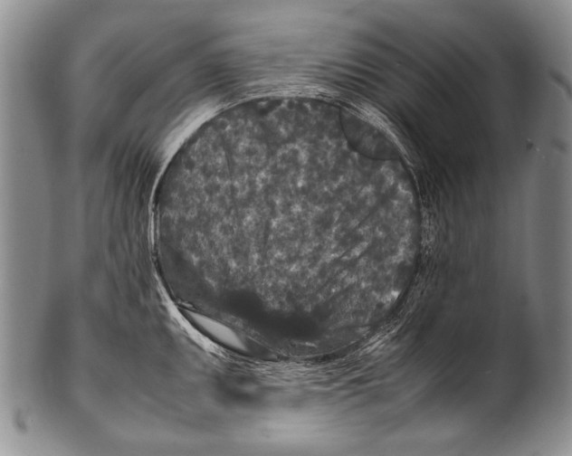 X0000100341095200806261320