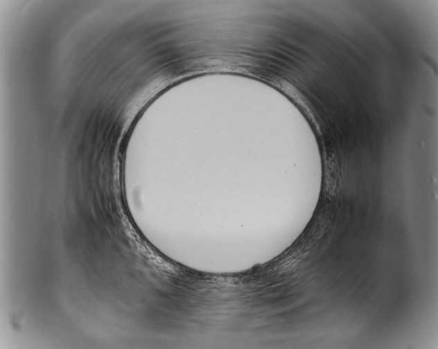 X0000100341096200806261320