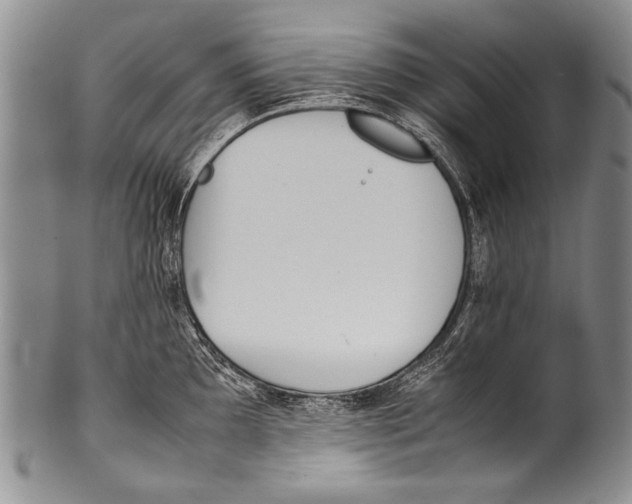 X0000100341097200806261320