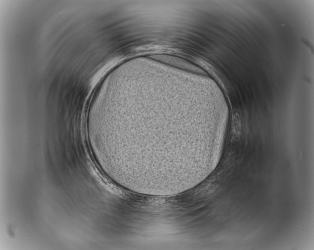 X0000100341098200806261320