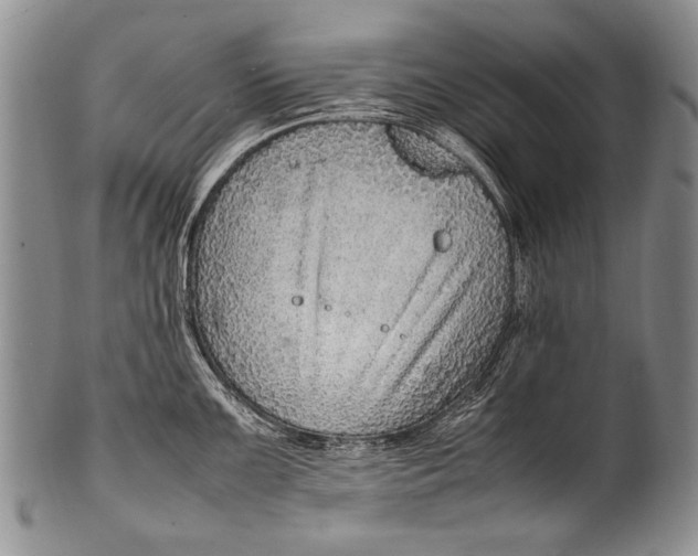 X0000100341099200806261320