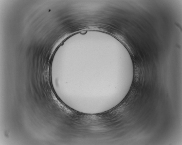 X0000100341100200806261320