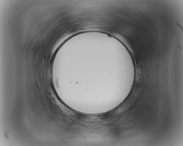 X0000100341101200806261320