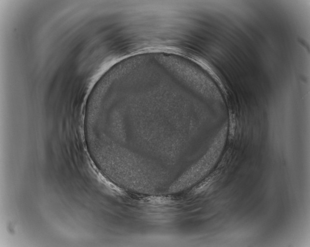 X0000100341102200806261320