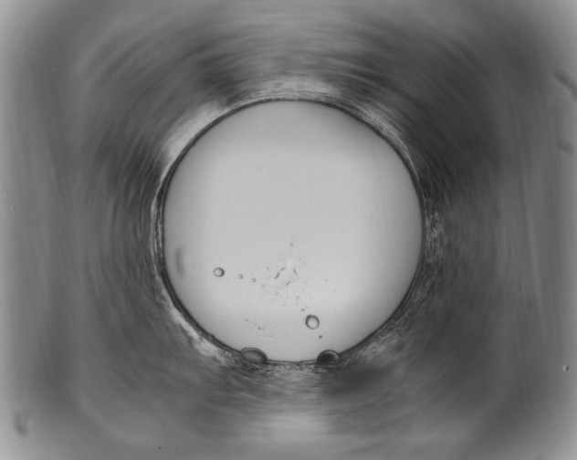 X0000100341103200806261320