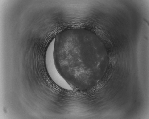 X0000100341106200806261320