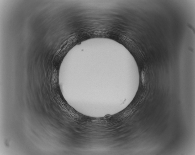 X0000100341107200806261320