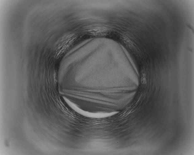 X0000100341108200806261320