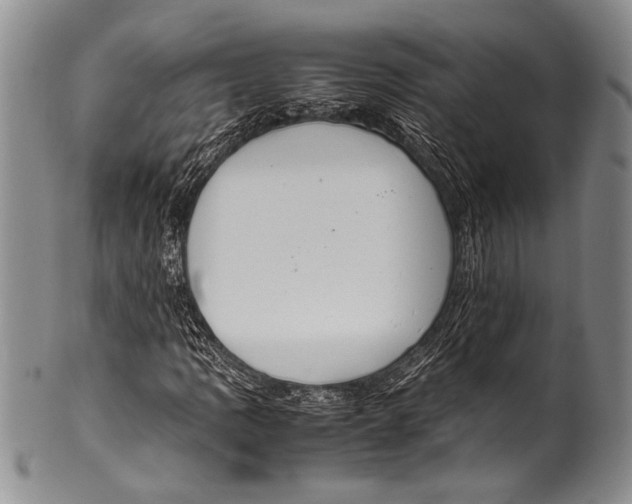 X0000100341109200806261320