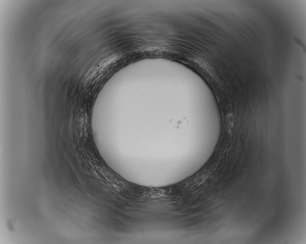 X0000100341111200806261320