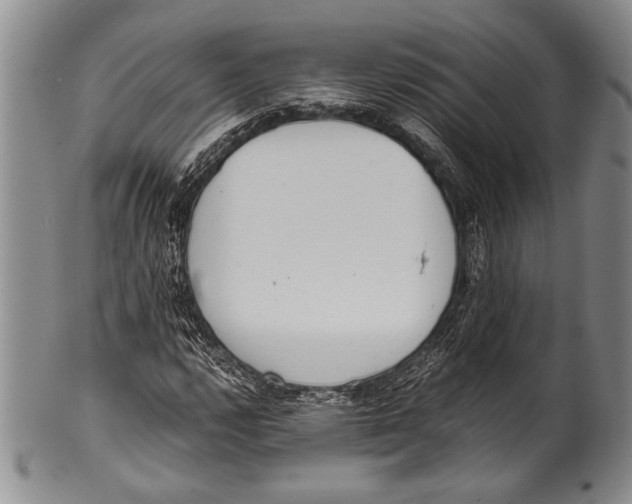 X0000100341112200806261320