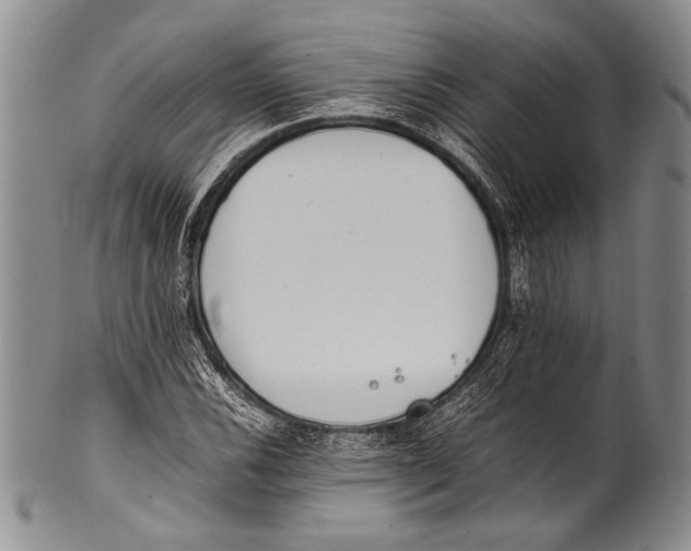 X0000100341116200806261320