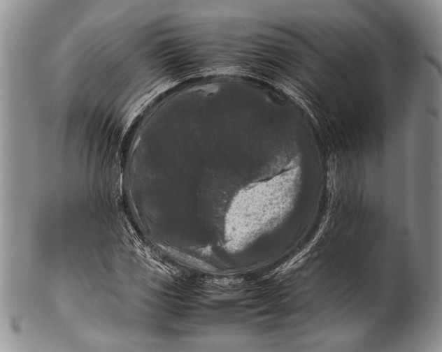 X0000100341117200806261320