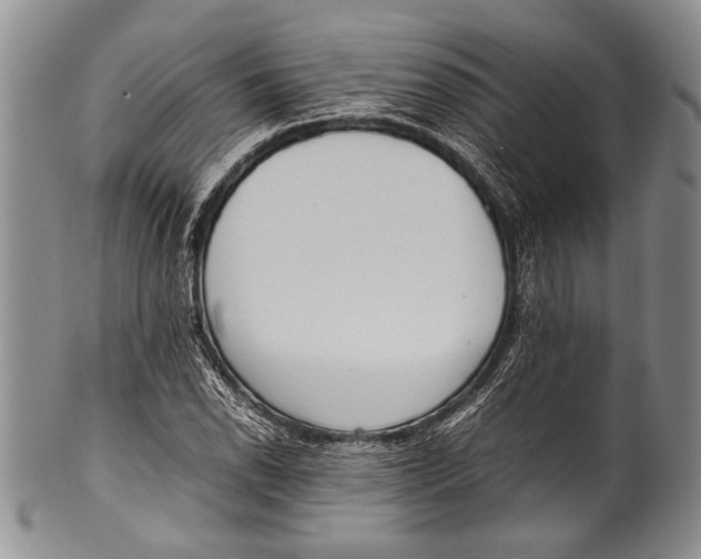 X0000100341118200806261320