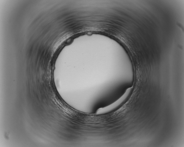 X0000100341119200806261320