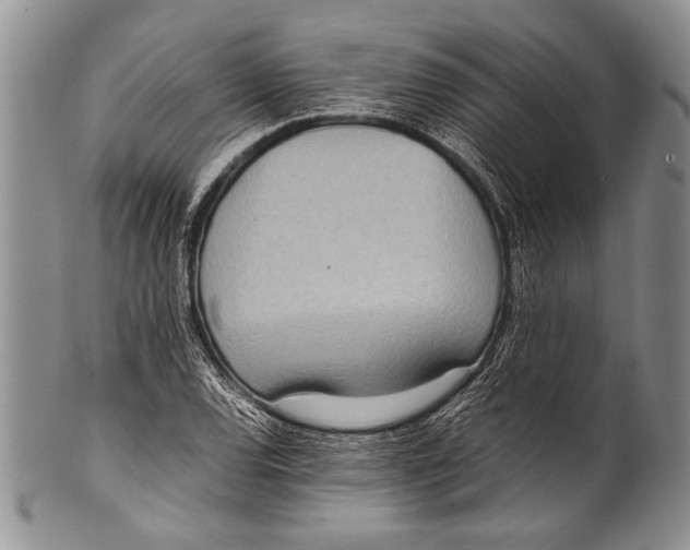 X0000100341120200806261320