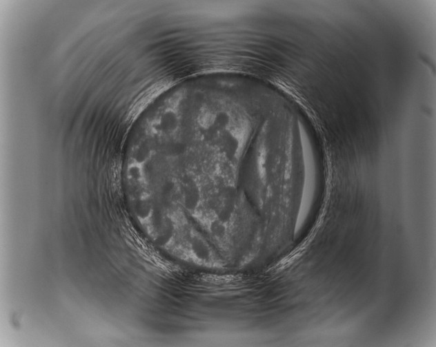 X0000100341121200806261320