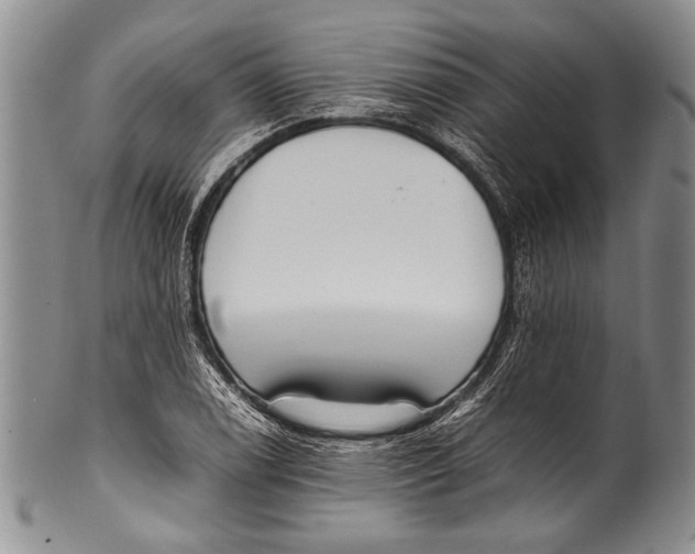 X0000100341122200806261320