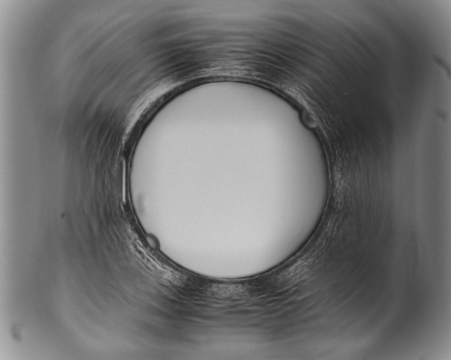 X0000100341123200806261320