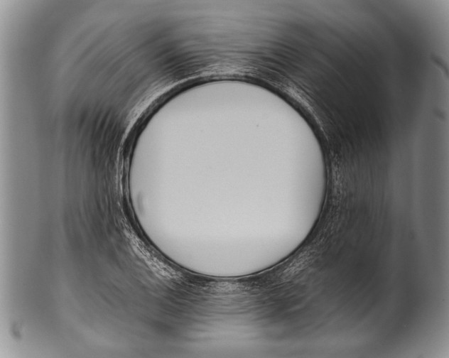 X0000100341124200806261320