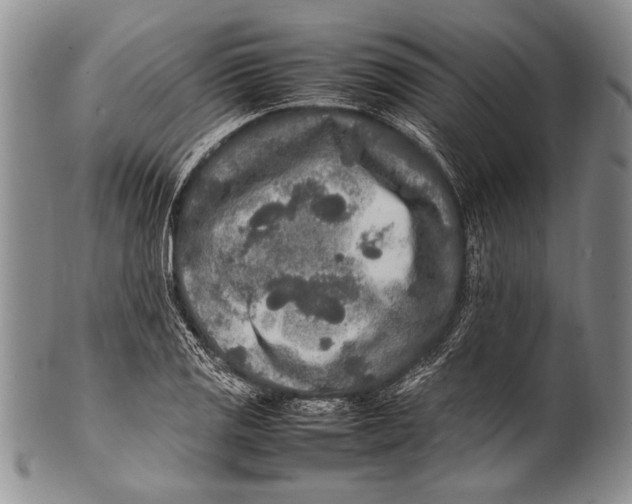 X0000100341125200806261320