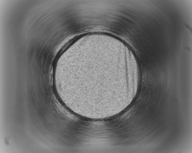 X0000100341126200806261320