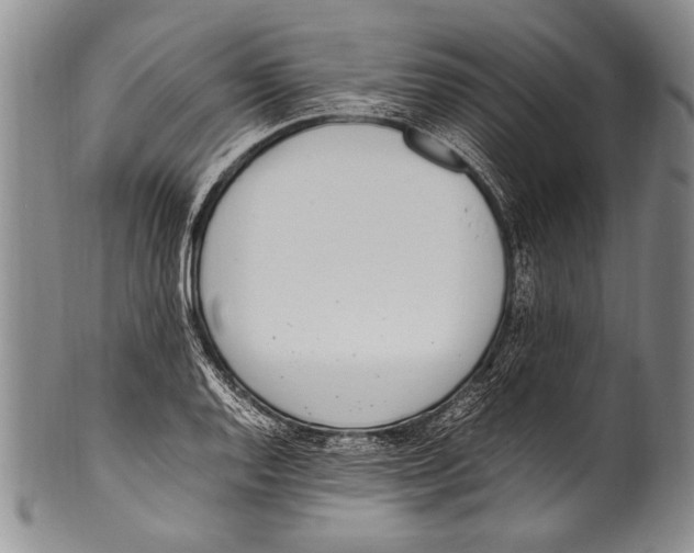 X0000100341128200806261320