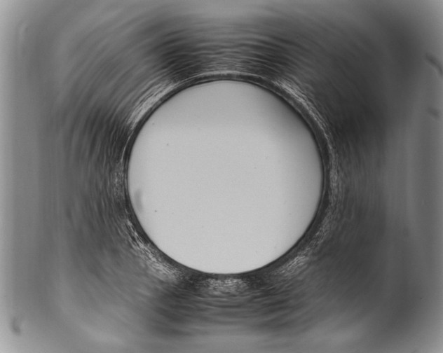 X0000100341129200806261320