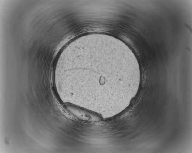 X0000100341130200806261320