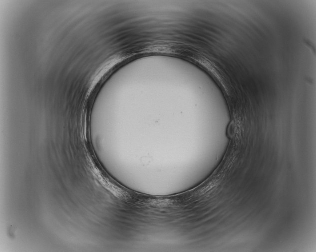 X0000100341131200806261320