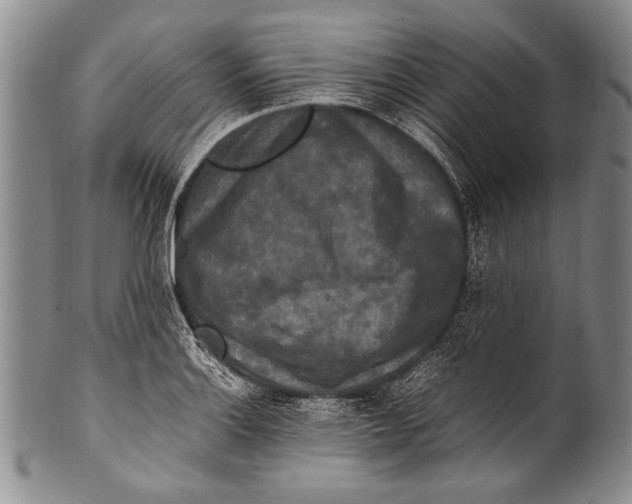 X0000100341132200806261320