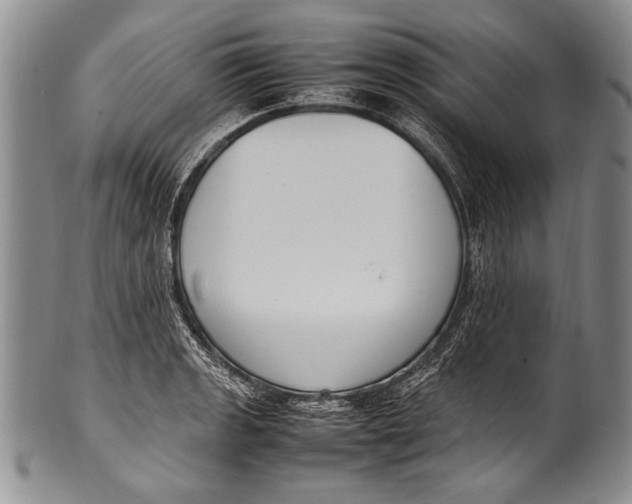 X0000100341133200806261320