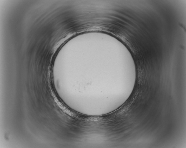 X0000100341134200806261320